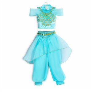 Disney Jasmine Aladdin princess costume